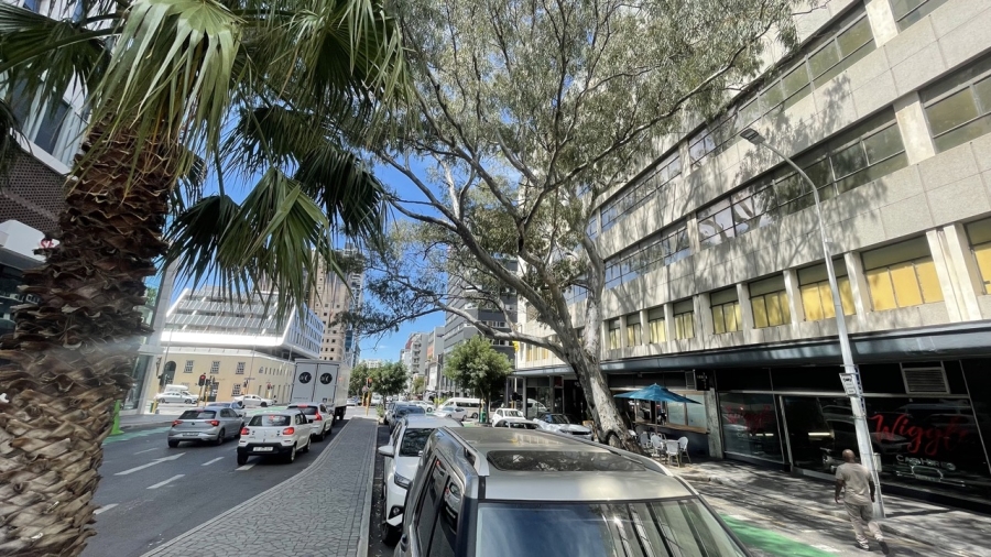 To Let commercial Property for Rent in Cape Town City Centre Western Cape